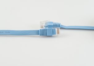 網線分類標準詳解 從五類到八類，認識不同網絡線的區別